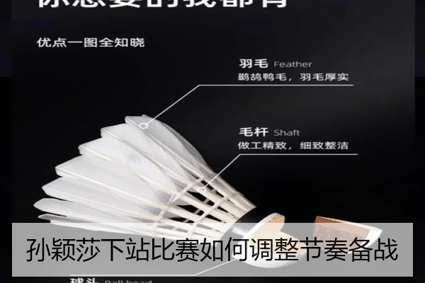 孙颖莎下站比赛如何调整节奏备战